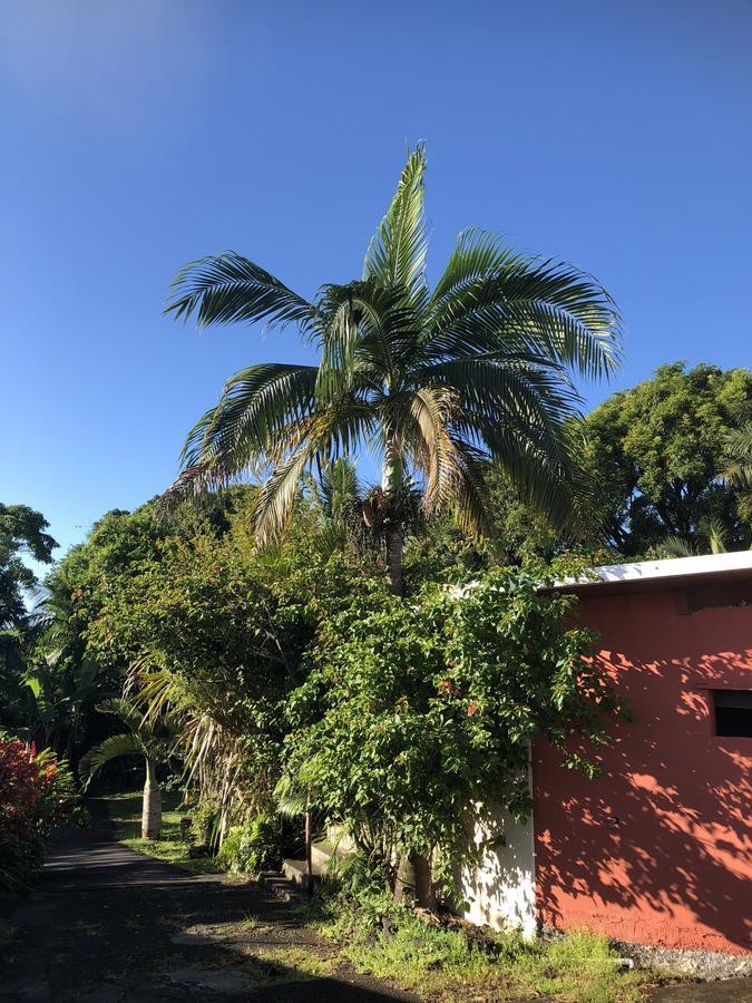 Matilona Bed & Breakfast Sainte-Rose Luaran gambar