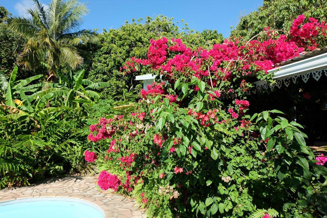 Matilona Bed & Breakfast Sainte-Rose Luaran gambar